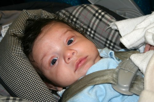 colorado 100 colorado 100