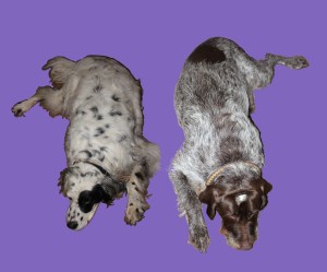 Untitled-Stitched-04