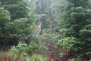 2042029150035208806EPCGsI_fs