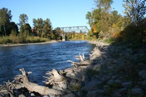 2208580720035208806IPpsSg_fs