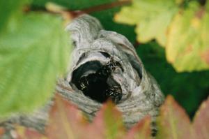 2359690150035208806LVKvYx_fs