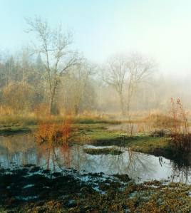 2823716430035208806aqATyb_fs