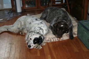 254277_2101471742147_3474089_n