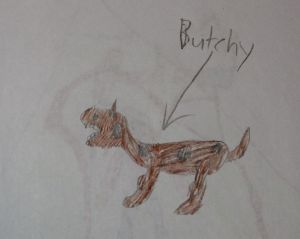 butchy