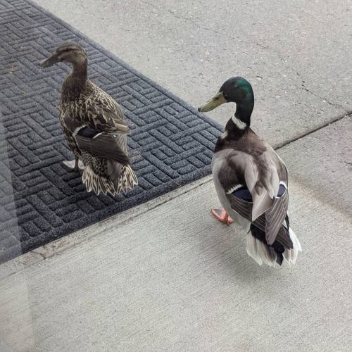 30127890_10215790545142354_176180932871454720_n