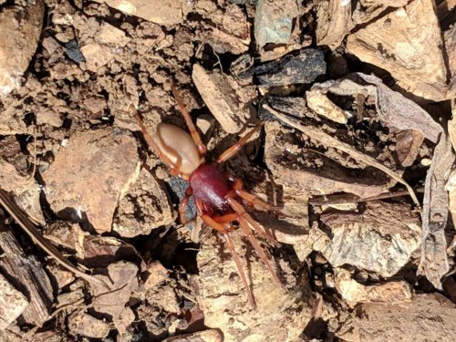 55554508_10218604820977491_6267510814295457792_n