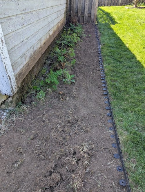 Trimmed the ferns and added edging beside the garage.